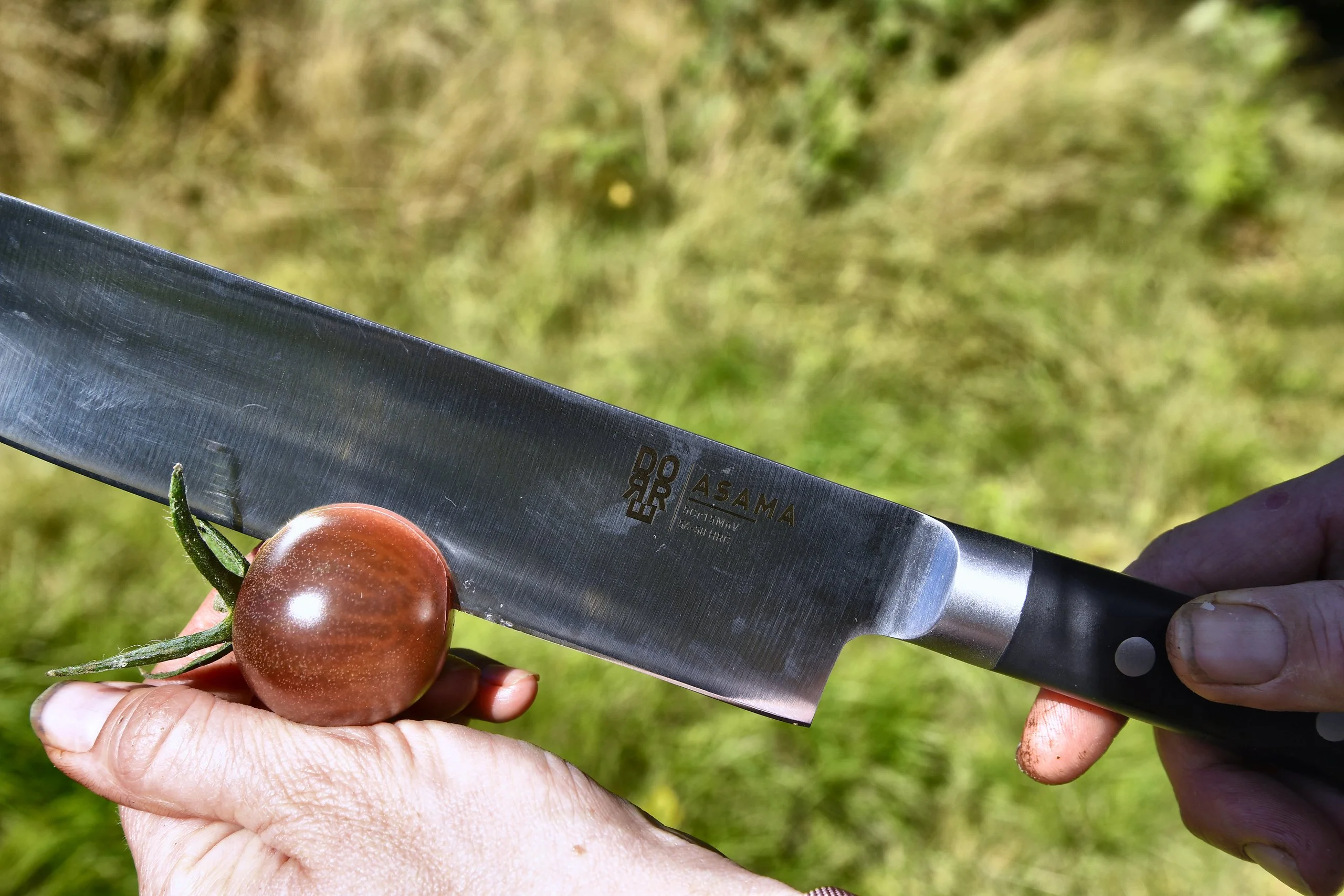 En japansk kockkniv i handen mot en tomat, utomhus.